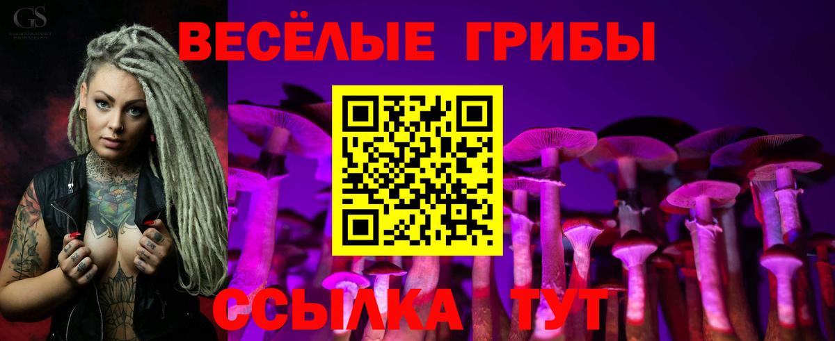 наркота  Псилоцибиновые грибы Psilocybine cubensis  Вход с VPN  Усть-Илимск 